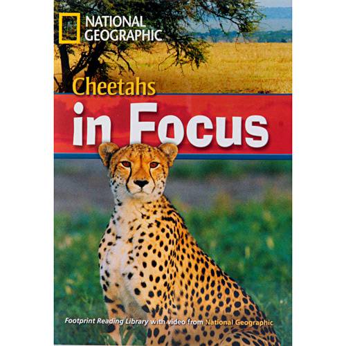 Tamanhos, Medidas e Dimensões do produto Livro - Cheetahs In Focus - Footprint Reading Library With Video From National Geographic