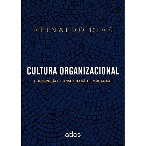 Tamanhos, Medidas e Dimensões do produto Livro - Cultura Organizacional: Construção, Consolidação e Mudanças
