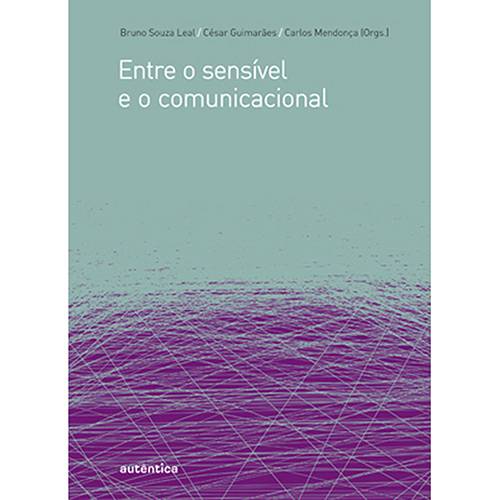 Tamanhos, Medidas e Dimensões do produto Livro - Entre o Sensível e o Comunicacional