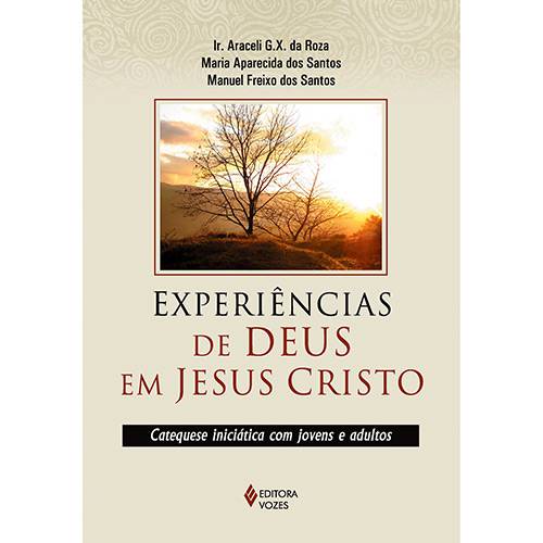 Tamanhos, Medidas e Dimensões do produto Livro - Experiências de Deus em Jesus Cristo: Catequese Iniciática com Jovens e Adultos