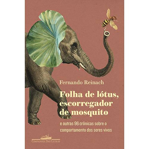 Tamanhos, Medidas e Dimensões do produto Livro - Folha de Lótus, Escorregador de Mosquito