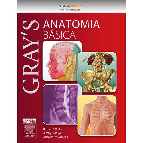 Tamanhos, Medidas e Dimensões do produto Livro - Gray's - Anatomia Básica