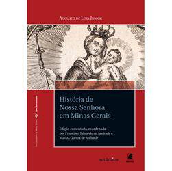 Tamanhos, Medidas e Dimensões do produto Livro - História de Nossa Senhora em Minas Gerais