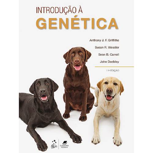 Tamanhos, Medidas e Dimensões do produto Livro - Introdução à Genética