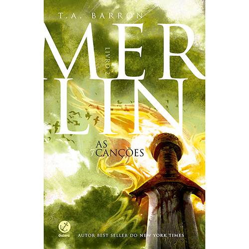 Tamanhos, Medidas e Dimensões do produto Livro - Merlin: as 7 Canções - Livro 2