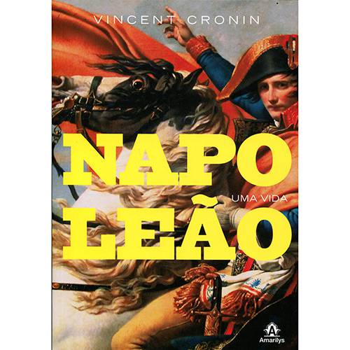Tamanhos, Medidas e Dimensões do produto Livro - Napoleão uma Vida