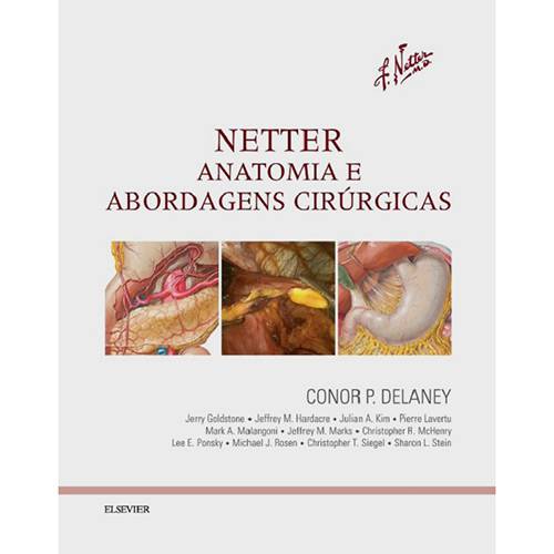 Tamanhos, Medidas e Dimensões do produto Livro - Netter Anatomia e Abordagens Cirúrgicas