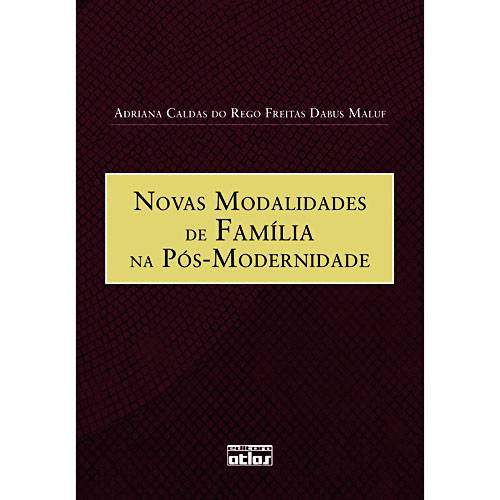 Tamanhos, Medidas e Dimensões do produto Livro - Novas Modalidades de Família na Pós-Modernidade