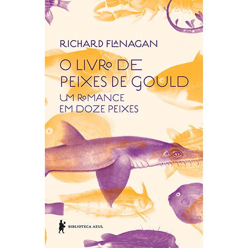 Tamanhos, Medidas e Dimensões do produto Livro - o Livro de Peixes de Gould: um Romance em Doze Peixes