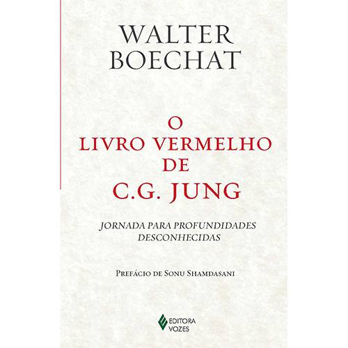 Tamanhos, Medidas e Dimensões do produto Livro - o Livro Vermelho de C. G. Jung: Jornada para Profundidades Desconhecidas
