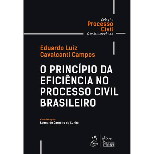 Tamanhos, Medidas e Dimensões do produto Livro - o Princípio da Eficiência no Processo Civil Brasileiro