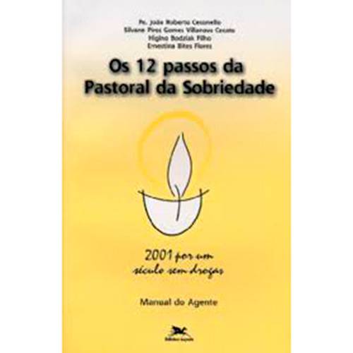Tamanhos, Medidas e Dimensões do produto Livro - os 12 Passos da Pastoral da Sobriedade: Manual do Agente