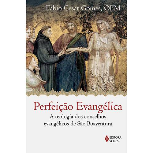 Tamanhos, Medidas e Dimensões do produto Livro - Perfeição Evangélica: a Teologia dos Conselhos Evangélicos de São Boaventura