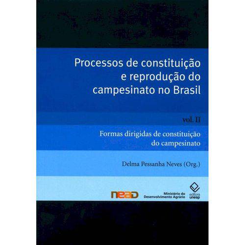 Tamanhos, Medidas e Dimensões do produto Livro - Processos de Constituicao e Reproducao do Campesinato no Brasil - Volume 2