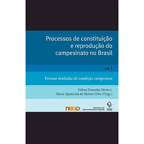 Tamanhos, Medidas e Dimensões do produto Livro - Processos de Constituição e Reprodução do Campesinato no Brasil