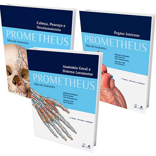 Tamanhos, Medidas e Dimensões do produto Livro - Prometheus: Atlas de Anatomia