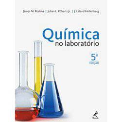 Tamanhos, Medidas e Dimensões do produto Livro - Química no Laboratório