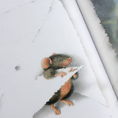 Tamanhos, Medidas e Dimensões do produto Livro - Ratinho e o Vento, o - Série Ratinho