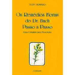 Tamanhos, Medidas e Dimensões do produto Livro - Remédios Florais do Dr. Bach Passo a Passo: Guia Completo