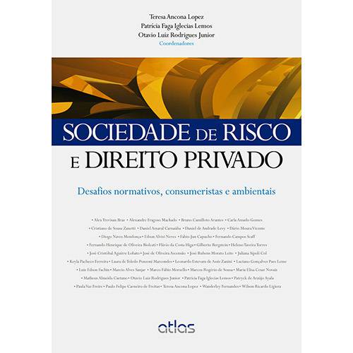 Tamanhos, Medidas e Dimensões do produto Livro - Sociedade de Risco e Direito Privado: Desafios Normativos, Consumeristas e Ambientais