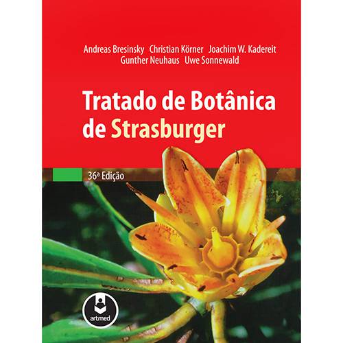 Tamanhos, Medidas e Dimensões do produto Livro - Tratado de Botânica de Strasburger
