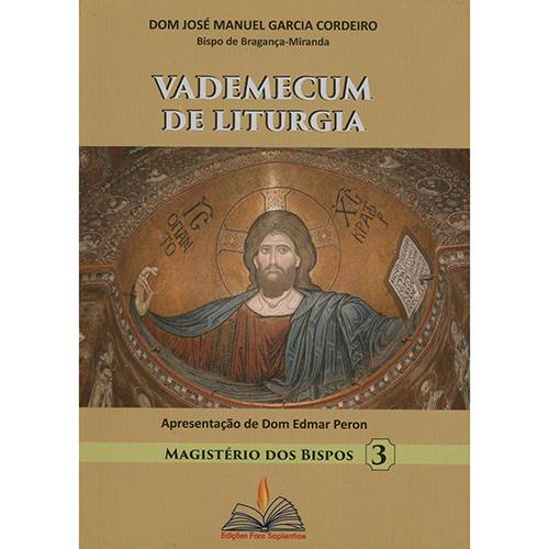 Tamanhos, Medidas e Dimensões do produto Livro - Vademecum de Liturgia 3: Magistério dos Bispos
