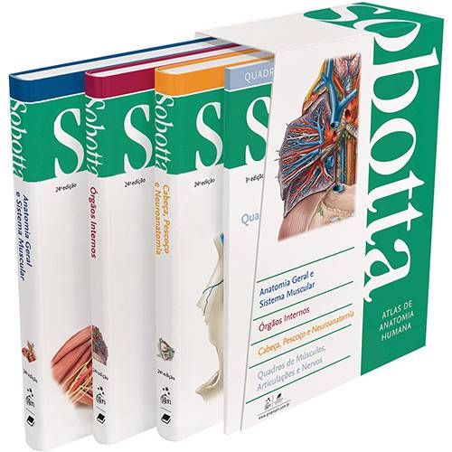 Tamanhos, Medidas e Dimensões do produto Livros - Sobotta: Atlas de Anatomia Humana 3 Volumes - 24 Ed