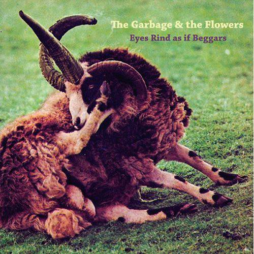 Tamanhos, Medidas e Dimensões do produto LP Garbage & The Flowers: Eyes Rind as If Beggars