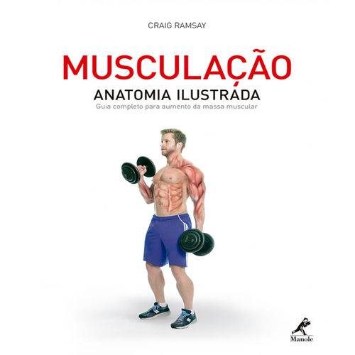Tamanhos, Medidas e Dimensões do produto Musculacao - Anatomia Ilustrada - Guia Completo para Aumento da Massa Muscular