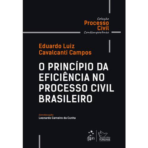 Tamanhos, Medidas e Dimensões do produto O Princípio da Eficiência no Processo Civil Brasileiro