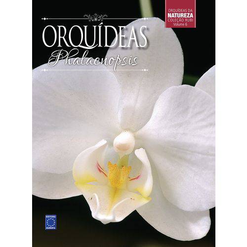 Tamanhos, Medidas e Dimensões do produto Orquideas Phalaenopsis - Europa