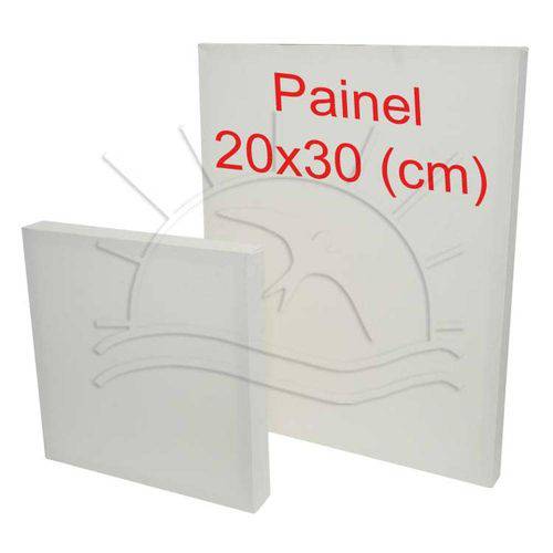 Tamanhos, Medidas e Dimensões do produto Painel Branco para Pintura - 20x30