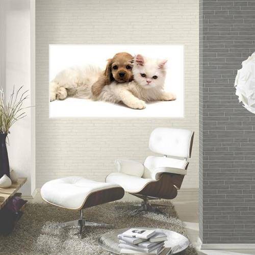 Tamanhos, Medidas e Dimensões do produto Painel Fotográfico Adesivo - Cachorro e Gato Modelo 03
