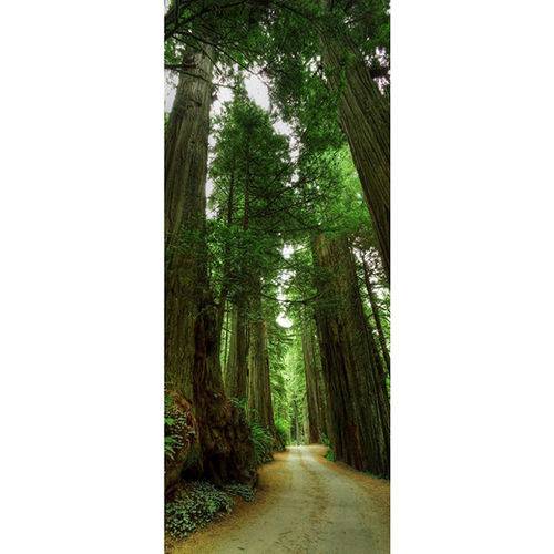 Tamanhos, Medidas e Dimensões do produto Painel Fotográfico Autocolante para Porta com Laminação - Big Tree - 0,92m X 2,15m