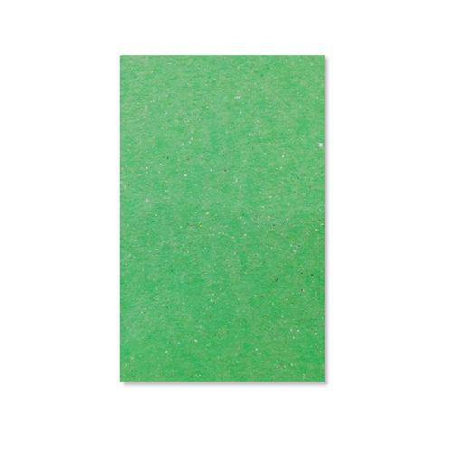 Tamanhos, Medidas e Dimensões do produto Papel Cartão Color Face RU Holler Reciclado Verde Claro 30,5 X 30,5CM