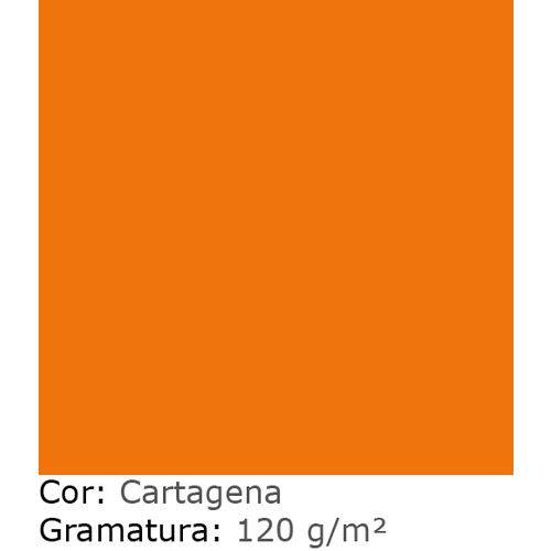 Tamanhos, Medidas e Dimensões do produto Papel Color Plus Fedrigoni Vivo 120 G A3+ Cartagena AW0221
