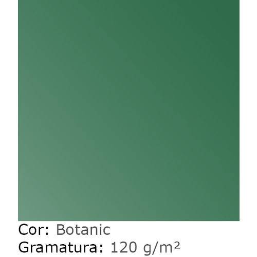 Tamanhos, Medidas e Dimensões do produto Papel Curious Fedrigoni Metalico 120 G A3+ Botanic AW0506