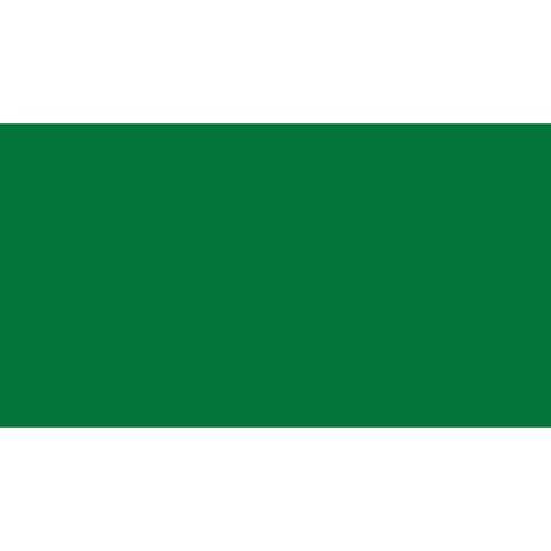 Tamanhos, Medidas e Dimensões do produto Papel de Seda 48x60cm Camp Festas - Verde Bandeira