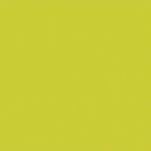 Tamanhos, Medidas e Dimensões do produto Papel Scrapbook Cardstock Amarelo Neon PCAR457 - Toke e Crie