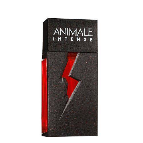 Tamanhos, Medidas e Dimensões do produto Perfume Animale Intense Masculino 50ml