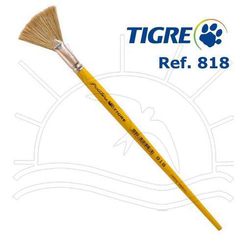 Tamanhos, Medidas e Dimensões do produto Pincel Tigre 818 - Leque