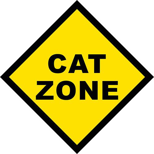 Tamanhos, Medidas e Dimensões do produto Placa Cat Zone