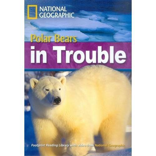 Tamanhos, Medidas e Dimensões do produto Polar Bear Trouble