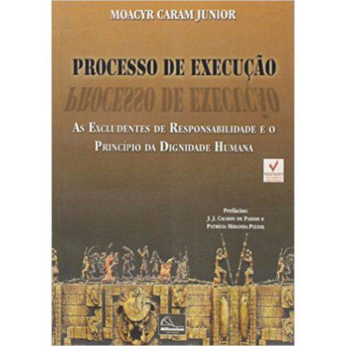 Tamanhos, Medidas e Dimensões do produto Processo de Execução - as Excludentes de Responsabilidade e o Princípio da Dignidade Humana - 1ª Ed.