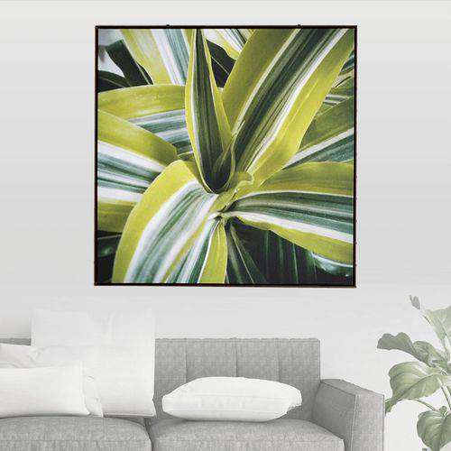 Tamanhos, Medidas e Dimensões do produto Quadro Botânico Dracena em Tecido Canvas para Sala Quarto Hall Escritório, 112X112cm, Quadro Emoldurado - Jô Quadros