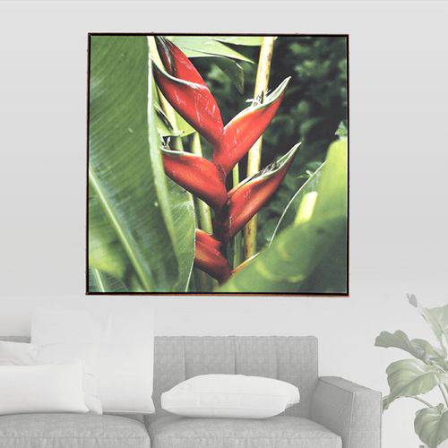 Tamanhos, Medidas e Dimensões do produto Quadro Botânico Strelitzia em Tecido Canvas para Sala Quarto Hall Escritório, 112X112cm, Quadro Emoldurado - Jô Quadros