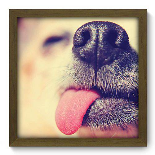 Tamanhos, Medidas e Dimensões do produto Quadro Decorativo - Cachorro - 110qdsm