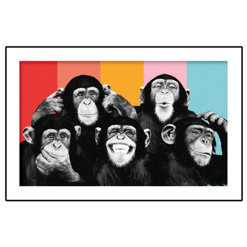 Tamanhos, Medidas e Dimensões do produto Quadro Placa Decorativa - Expressoes Macacos