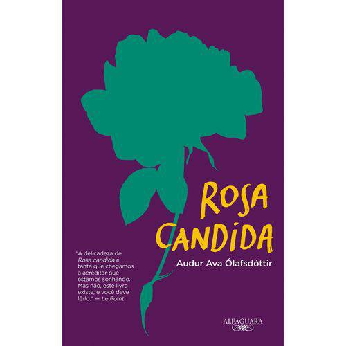Tamanhos, Medidas e Dimensões do produto Rosa Candida - 1ª Ed.