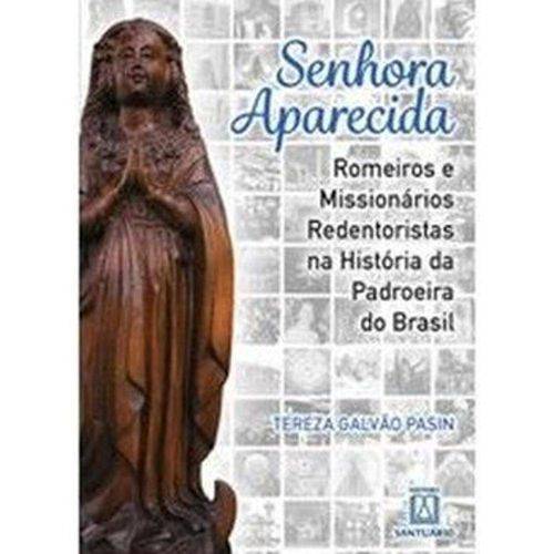 Tamanhos, Medidas e Dimensões do produto Senhora Aparecida - Santuario